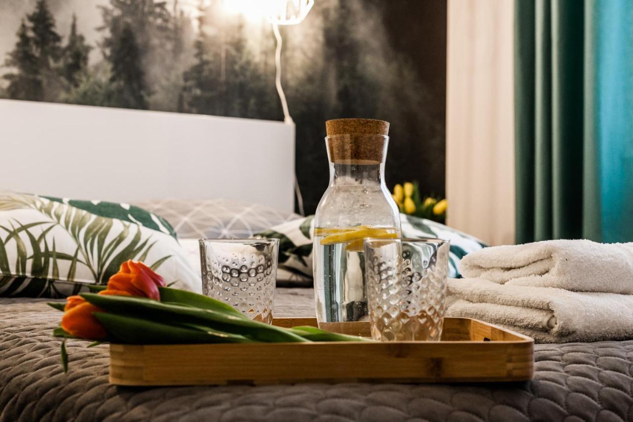 Apartament Rezydencja Vintage No1 Olštýn Exteriér fotografie