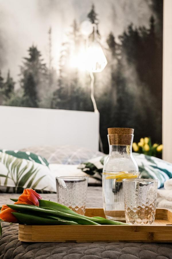Apartament Rezydencja Vintage No1 Olštýn Exteriér fotografie